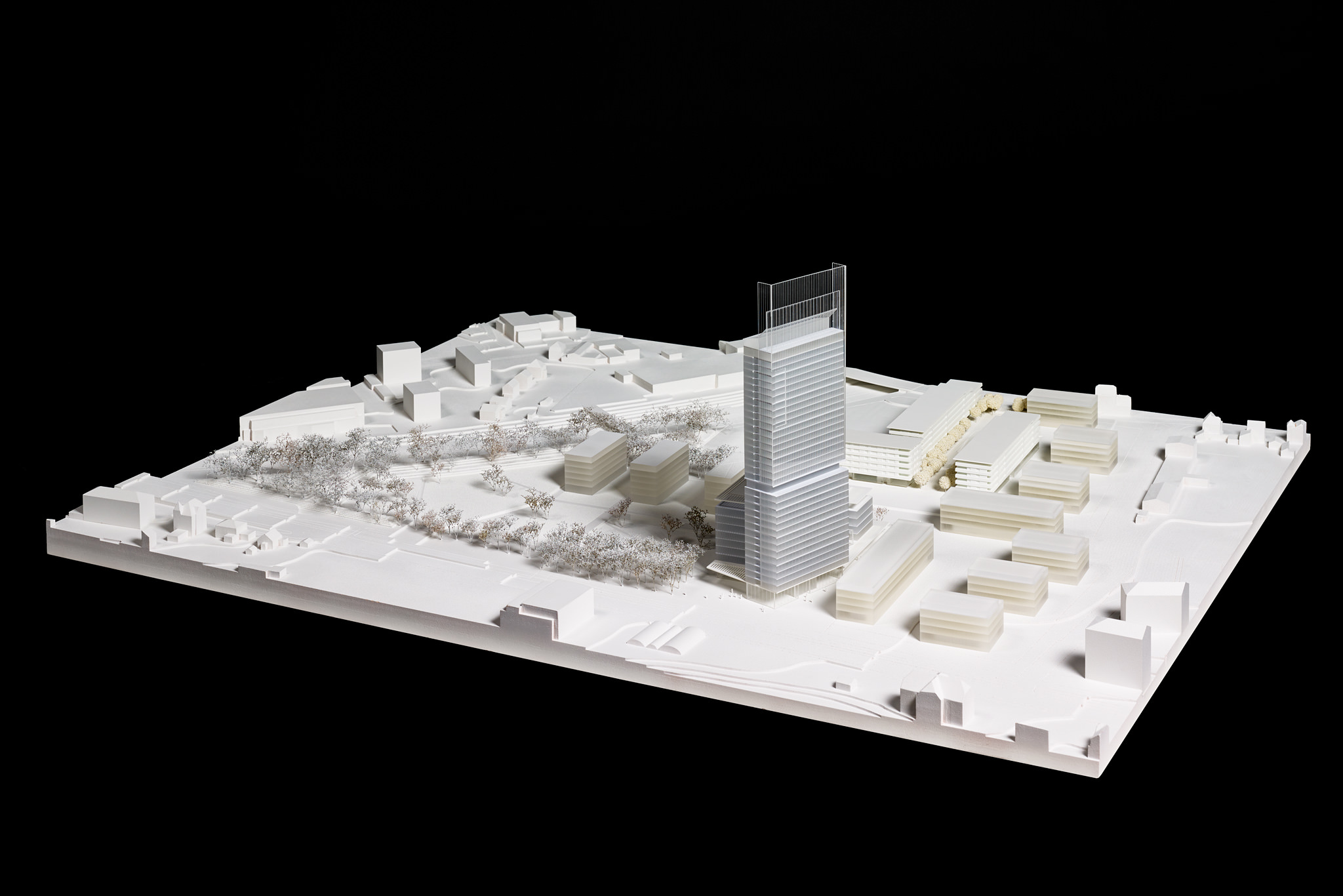 E15567 Alpa 053447 SCREEN